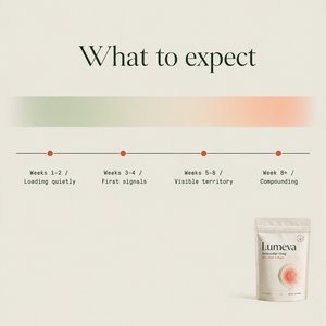 What to expect timeline: weeks 1-2 loading, 3-4 first signals, 5-8 visible territory, 8+ compounding